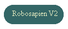 Robosapien V2